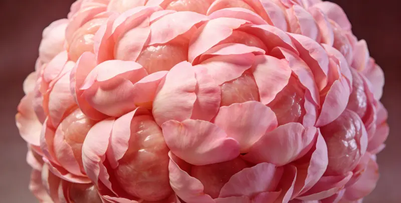 厦门BRCA1/2乳腺癌卵巢癌基因检测图片1